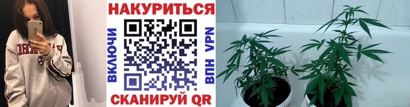 Канабис White Widow Кочубеевское